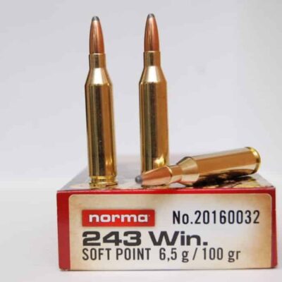 NORMA .243 100gr SP