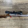 Ruger 10/22 Stainless