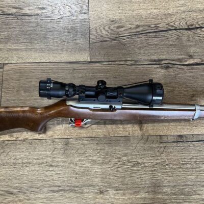 Ruger 10/22 Stainless